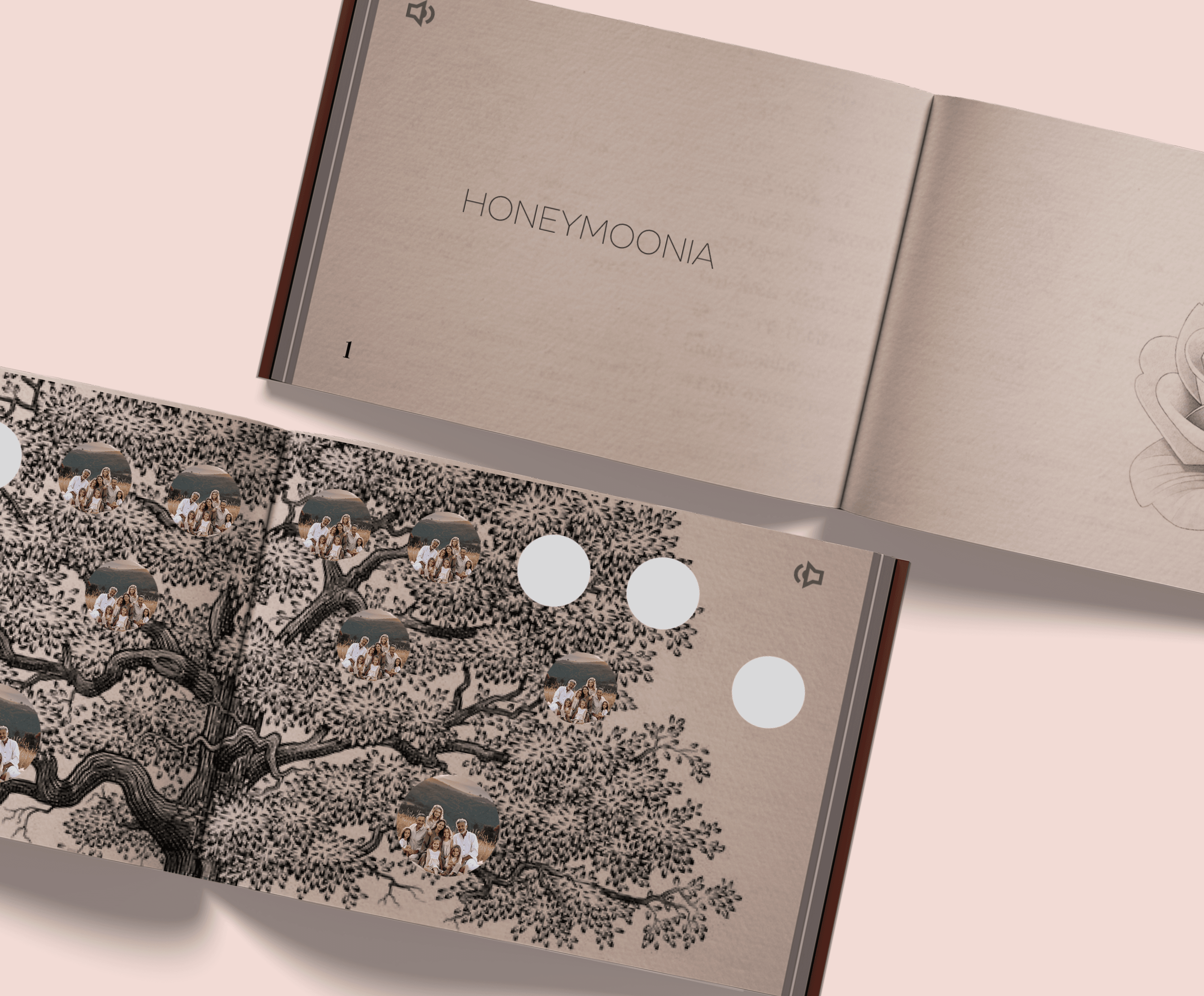 Honeybook Presentation